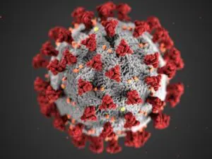 A photo of the coronavirus.
