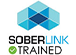 Soberlink-Trained Family Law Professional